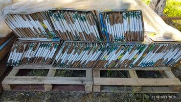 сатори ножи бишкек: Коробка сатылат баасы 60 сом 650 штук бар Кантта — 1