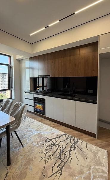 binar: 2 комнаты, 71 м², Филармония Элитка, 10 этаж, Евроремонт — 3