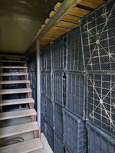 холод оборудования: Промышленная холодильная и морозильная камера с оборудованием и — 5