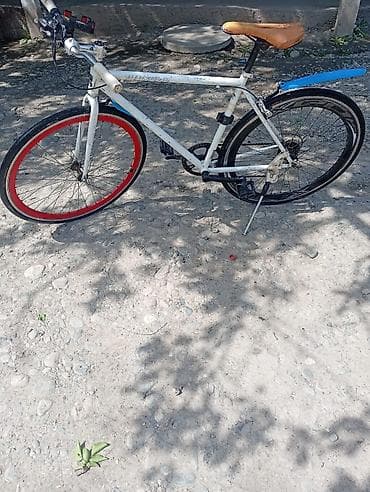 Шаардык велосипед, Велосипед алкагы L (172 - 185 см), Колдонулган — 4