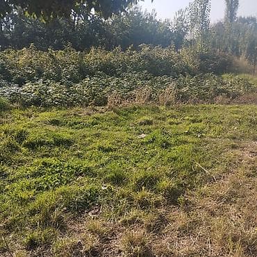 участок с восток: 8 соток, Для сельского хозяйства — 4