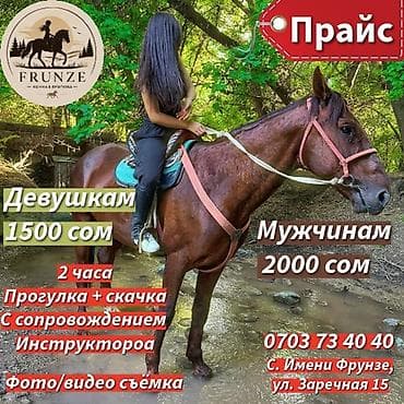 чолпон ата массаж: Конные прогулки и обучение верховой езде FRUNZE - Прогулки на — 4