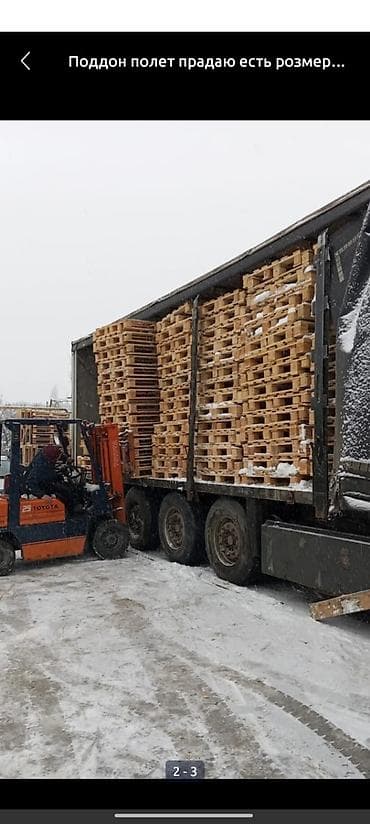 полеты: Поддон В наличии — 3