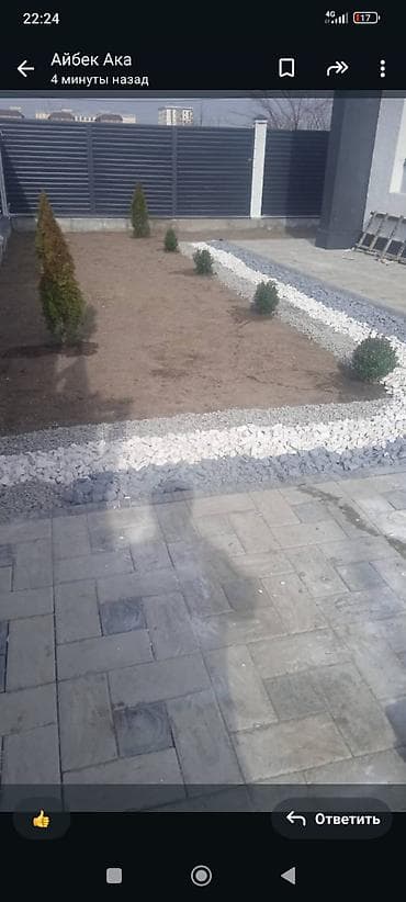 кукуруза кант: Газон посев стаж 5 год — 6