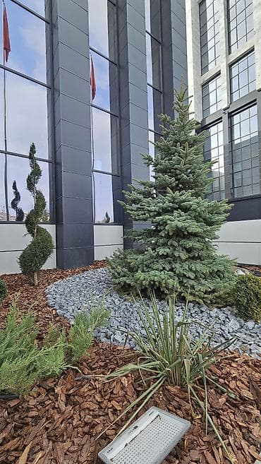 Дизайн, проектирование: Авто полив💦💦 за 1м² 🟫 Жашылдандыруу 🏡 Благоустройство дома 🏕 Система — 5