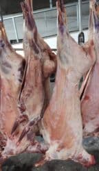 уй эти баасы бишкек: 🥩 Поступило свежее мясо — баранина и ягнята, всё халяль. Мягкое — 1