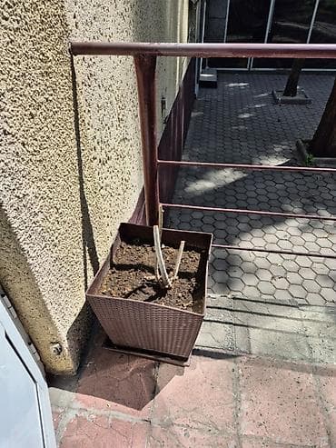 4 pot: Продаётся цветочный горшок.Высота 40см Глубина 38 на 38. Цена 1000с — 2