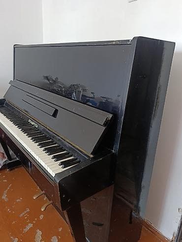 гитара комуз: Акустическое пианино «Беларусь» (вертикальное) - Тип: классическое — 1