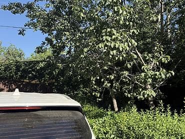 скупка вещи: Продаю Большой дом 146м2 отд кухня очоккана с с евроремонт все — 9