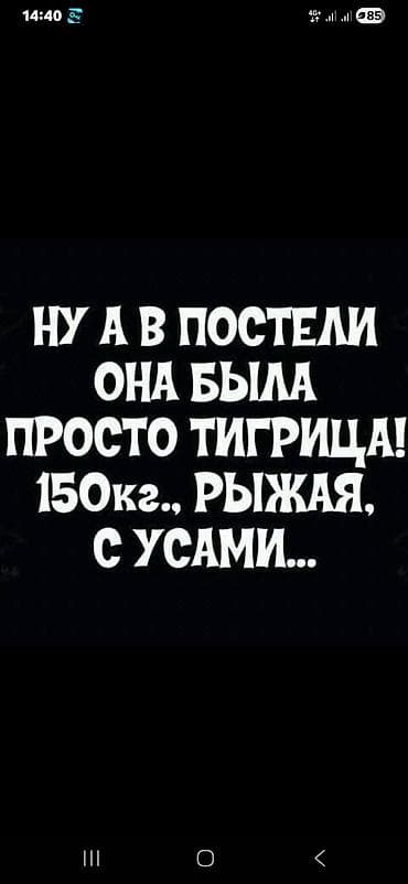 fr v: Nissan Primera: 1996 г., Механика, Лифтбек — 6