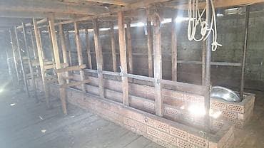 помещение жалал абад: Сарай/коровник для КРС - Размер: 13,6 м (длина). - Вместимость — 3