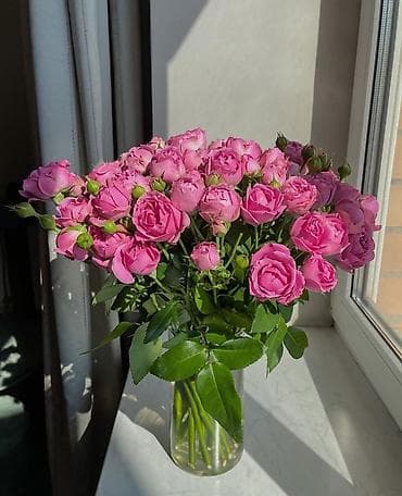 Массаж: Массаж | Дарылоочу | Остеохондроз, Омуртка аралык грыжа, Протрузия | Үйүнө баруу менен, Консультация — 1