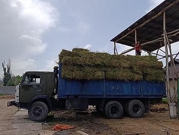 Грузовик, Камаз, Б/у