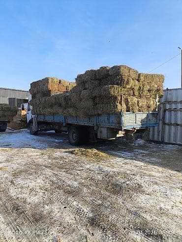 авто в рассрочку бишкеке: Грузовик, Mercedes-Benz, Стандарт, 7 т, Б/у — 2