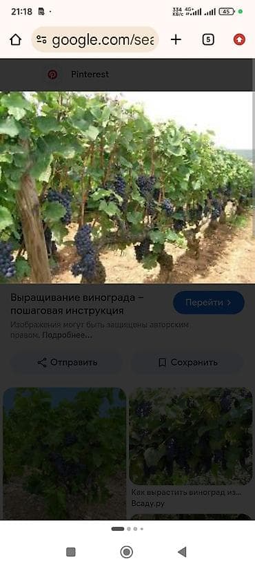 кассета для расады: Услуги подготовит к уражаю тел — 1