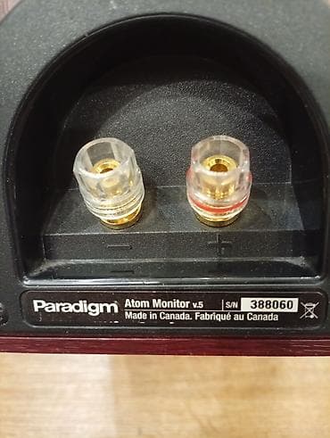 poco c 40: Колонки Paradigm — полочные двухполосные АС - Формат: пара полочных — 6