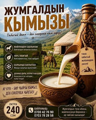 зимняя дыня: Кымыз из Жумгала — натуральный напиток из кобыльего молока — 1