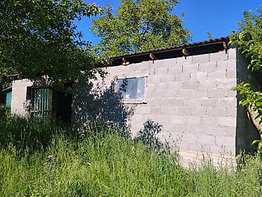 комната сдается аламедин 1: Продается дом село Кутургу Түп. участок 18соток дом 2комнаты с — 3