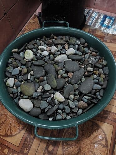 аквариум: Просторный аквариум панорамного типа с чёрной рамой. - Прямоугольная — 2