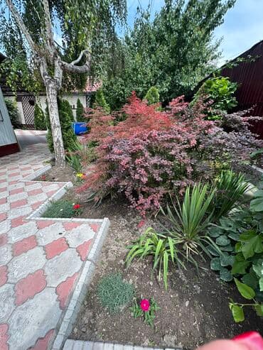 vip бишкек сауна с девочками бишкек: Баня, Сауна, Хамам | Массаж, Пилинг, Бассейн — 19