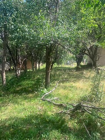 продажа фермы: 5 соток, Для строительства, Красная книга — 1