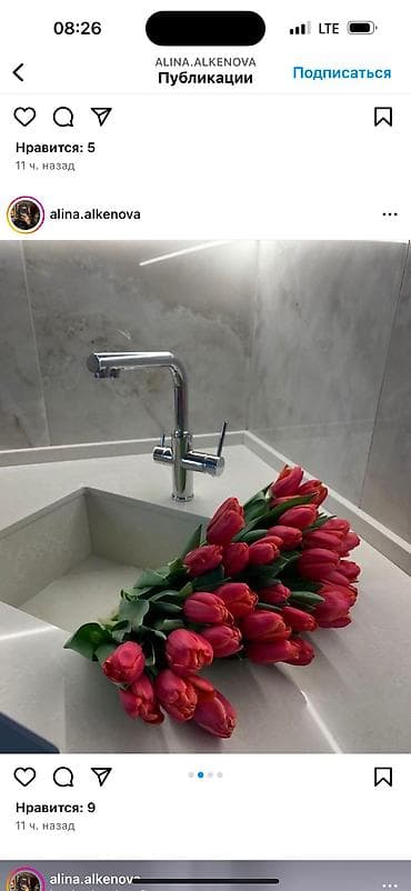 декоративные цветы бишкек: Принимаю заказы тюльпанов!Самые яркие,сочные цвета,более 15 видов — 6