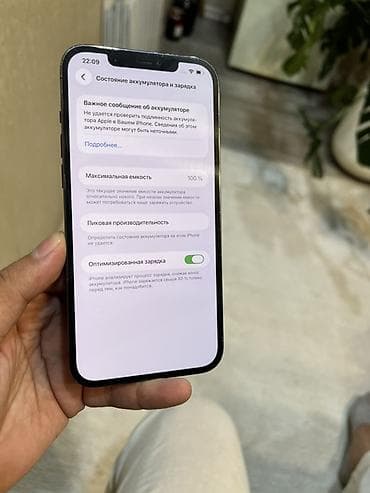 IPhone 12 Pro Max, 256 ГБ, Графит, 100 %