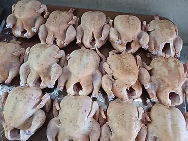 Продаю тушки кур броллеров 300сом кг. вес одной тушки от 2 до 3кг -
