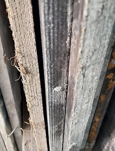 Дом и сад: Фанера, Ламинированная, Для строительства, Береза, Для опалубки — 2