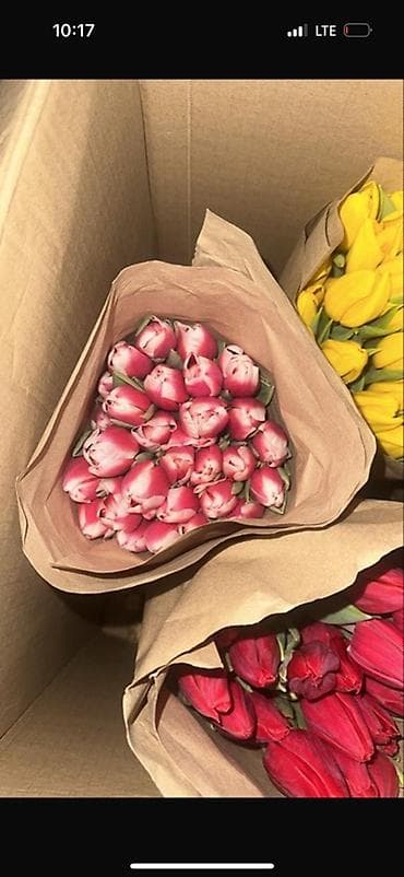 Цветы и букеты: Тюльпаны в крафт-упаковке - Свежесрезанные тюльпаны с плотным — 1