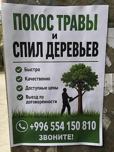 Уборка территории: Уборка территории, Стрижка газона — 1
