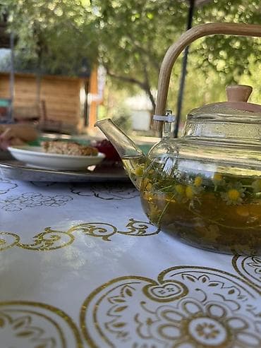 Ищу партнера на прибылиный бизнес. Загородное кафе зона отдыха — 1