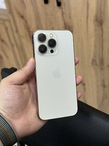 13 pro apple: IPhone 13 Pro, 256 ГБ, 100 % — 1