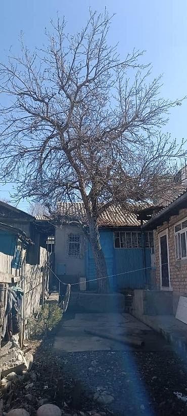 чоп ором: Спилим Дерево заготовим дрова Цена договорная. звонить в любое — 5