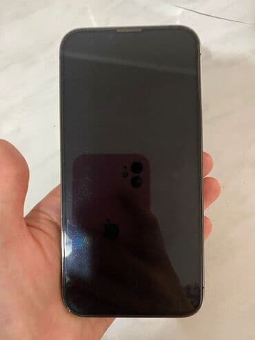 айфон 13 жалал абад: IPhone 13 Pro, Колдонулган, 256 ГБ, Кара, Каптама, 86 % — 2