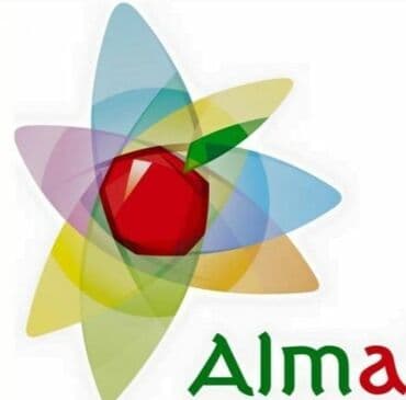 продажа дома аламединский рынок: Номер, ALMA Чок-Тал, Коргоодогу аймак, Унаа токтотуучу жай, унаа туруучу жай — 1