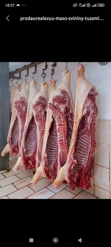 Продаю, реализую мясо свинины. Тушами полу тушами, минимальный заказ