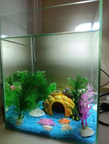 свежемороженая рыба: Аквариумный декор «Подводный городок» - Набор тематических украшений — 4