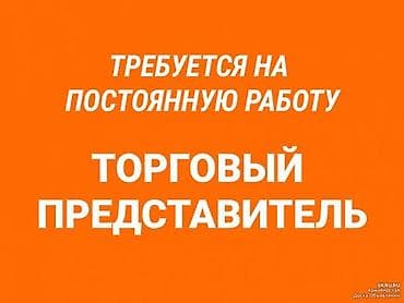 европа жумуш: Трубуется Торговый Агент по городу Бишкек Пятидневка с 9 до 17 ЗП — 1