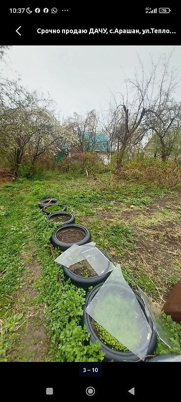 uno city: Дача/садовый участок дачи Михайловские - Участок с плодоносящими — 2