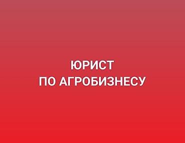 юрист по земельным вопросам бишкек: Юридические услуги | Предпринимательское право | Консультация — 1