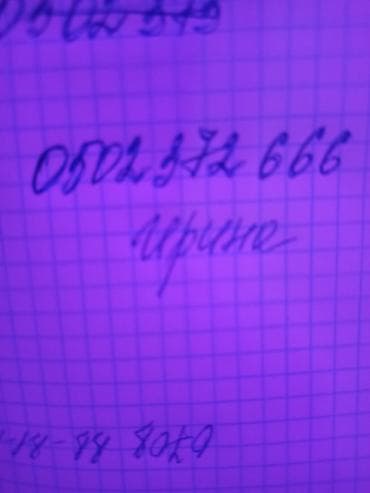животные кошки: 1 месяц, Мальчик, Белый, Проглистована, Приучена к лотку — 4
