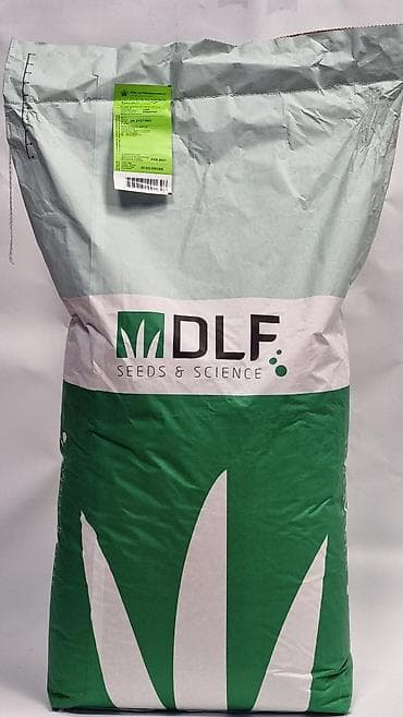 газон бишкек цена: 🌱 Газон для дома и сада Хотите красивый зелёный участок как на фото? — 1