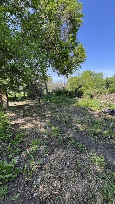 участк: Продается участок в селе Алексеевка 19 соток Большая часть участка — 4