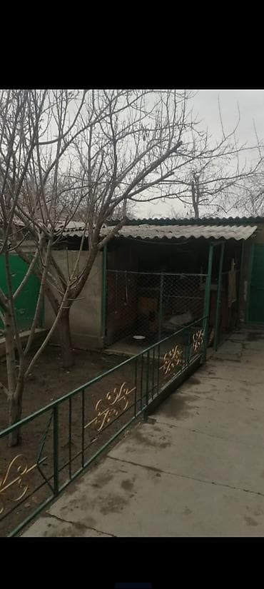 бишкек восток 5: 64 м², 3 бөлмө, Унаа токтотуучу жай, Забор, тосулган — 1