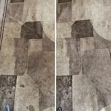 philips one blade: 4-в-1 Техномир моющий пылесос ✅ Сухая чистка — мощное удаление пыли — 3