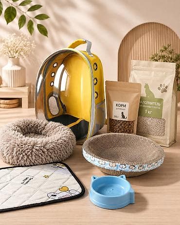 Продаю Новый набор для кошки Всё необходимое для комфортной жизни at lalafo.kg Продаю Новый набор для кошки Всё необходимое для комфортной жизни