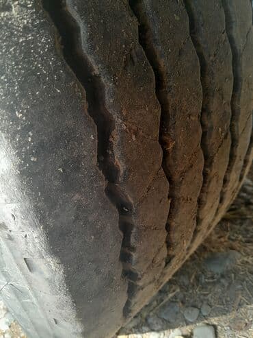 мерседес спринтер сди: Прицеп, Schmitz Cargobull, Рефрижератор, Б/у — 12