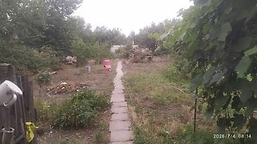 Кыймылсыз мүлк: Продается два небольших дома, площадью 80 КВ.м. На большом участке — 5