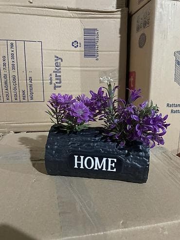 обмен на комнатные цветы: Декоративная композиция «HOME» в кашпо-полене - Компактный настольный — 2